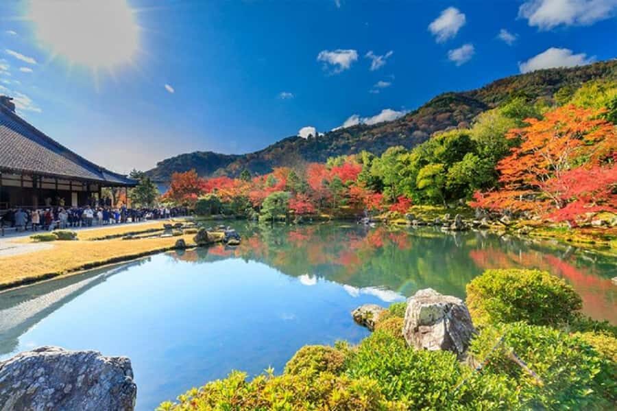 Kansai Garden Day Trip with Tea Ceremony - Practical Considerations