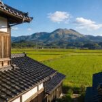 Kansai Hidden Cherry Blossom Gems Seasonal Exclusive Day Trip - Who Would Enjoy This Tour?