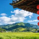 Kansai Hidden Cherry Blossom Gems Seasonal Exclusive Day Trip - How the Itinerary Unfolds