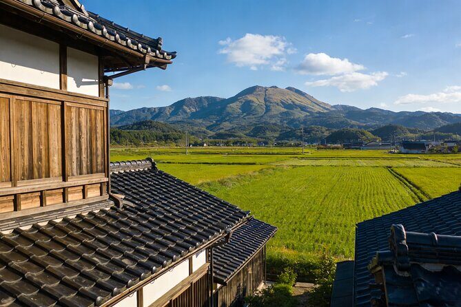 Kansai Hidden Cherry Blossom Gems Seasonal Exclusive Day Trip - Who Would Enjoy This Tour?  