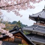 Kansai Hidden Cherry Blossom Tour: Seasonal One-Day Escape - What Makes This Tour Stand Out?