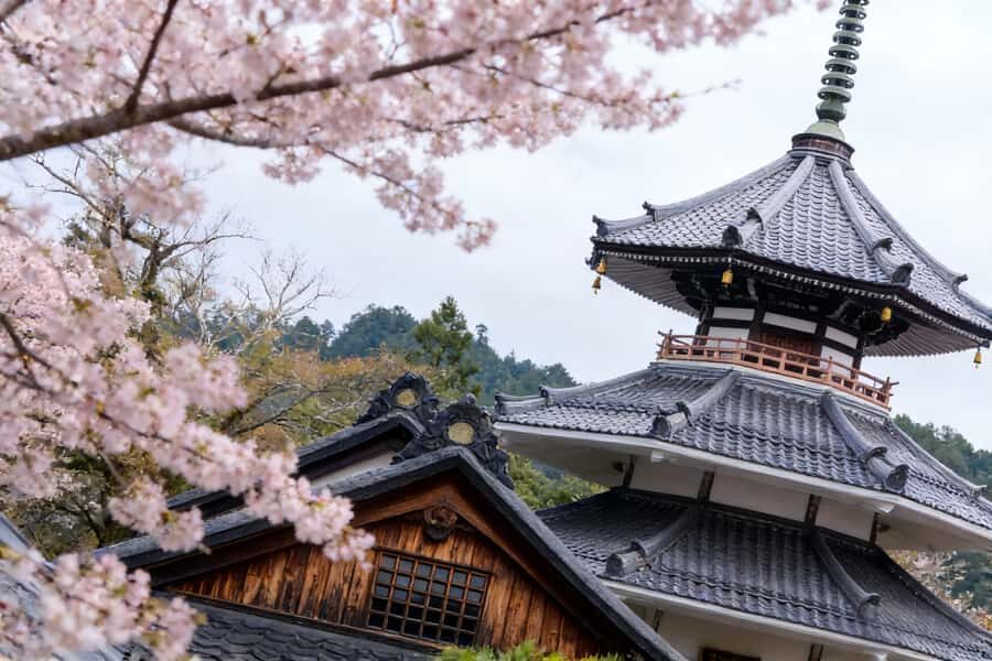 Kansai Hidden Cherry Blossom Tour: Seasonal One-Day Escape - Practical Details and Why They Matter  