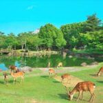 Kansai Shared Day Tour in Fushimi Inari Shrine and Kiyomizudera - Transportation and Group Dynamics