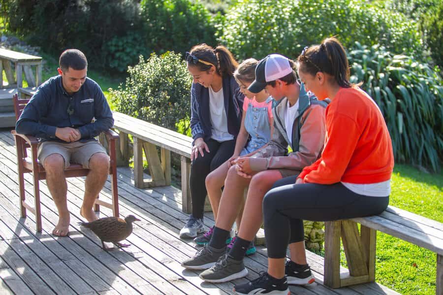 Kapiti Island: Classic Guided Day Tour - Why Choose This Tour?