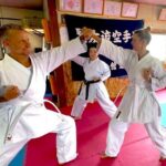 Karate Adventure in Osaka Japan - Authenticity and Quality of Instruction