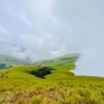 Karnataka: Western Ghats Trekking Adventure - What to Expect from the Trekking Adventure