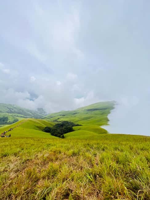 Karnataka: Western Ghats Trekking Adventure - What to Expect from the Trekking Adventure