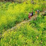 Karst Plateau Geopark Tour 3 Days 2 Nights From Hanoi - Who Is This Tour Best For?