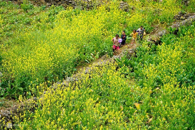 Karst Plateau Geopark Tour 3 Days 2 Nights From Hanoi - Who Is This Tour Best For?