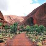 Kata Tjuta Private Guided Sunrise Tour - Why Choose This Tour?