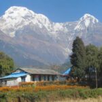 Kathmandu: 11-Day Guided Cultural and Nature Tour - The Spiritual Heart: Pashupatinath and the Aarati Ceremony