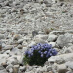 Kathmandu : 14 -Day Everest Base Camp with Kala Patthar Trek - Arrival in Kathmandu and Initial Transfer