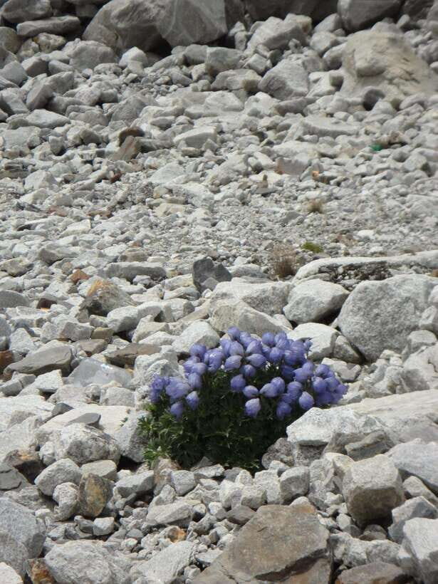 Kathmandu : 14 -Day Everest Base Camp with Kala Patthar Trek - Arrival in Kathmandu and Initial Transfer