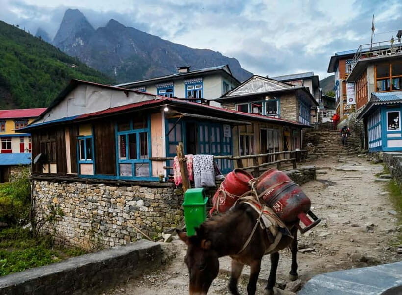 Kathmandu: 15-Day Everest Base Camp Trek with Guide - The Value and Price