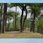 Kathmandu: 3-4 Hrs Hiking at Shivapuri National Park - An In-Depth Look at the Shivapuri National Park Hike