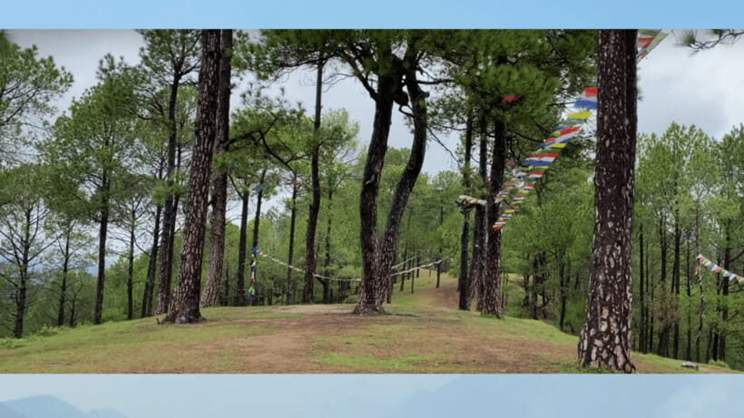 Kathmandu: 3-4 Hrs Hiking at Shivapuri National Park - An In-Depth Look at the Shivapuri National Park Hike