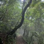 Kathmandu: 3-Day Shivapuri Wellness & Recreation Package - The Itinerary Breakdown