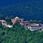 Kathmandu: Buddhist Monasteries Tour with Lunch - The Vibrant Yellow Gompa and Rato Gumba