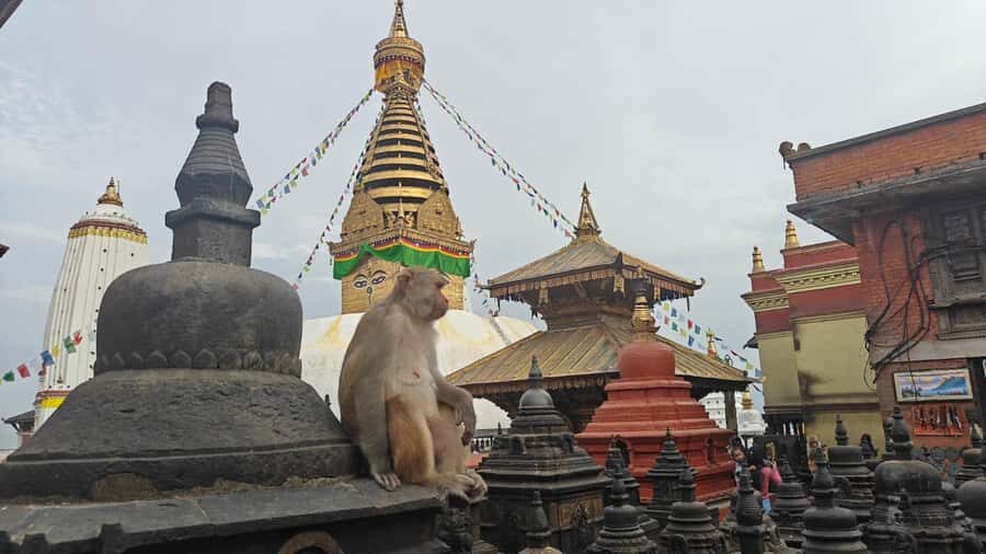 Kathmandu: Buddhist Stupas Tour with Kapon Monastery Visit - Practical Tips for Your Buddhist Stupas Tour