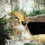 Kathmandu: Central Zoo Tour - The Breakdown of the Tour