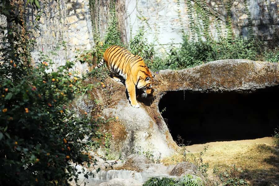 Kathmandu: Central Zoo Tour - The Breakdown of the Tour