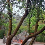 Kathmandu: Champadevi Hill Guided Hike with Lunch - Why This Tour Offers Good Value