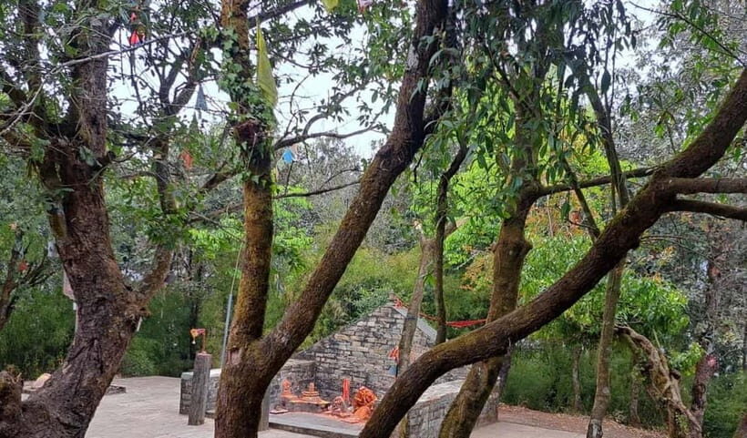 Kathmandu: Champadevi Hill Guided Hike with Lunch - Why This Tour Offers Good Value