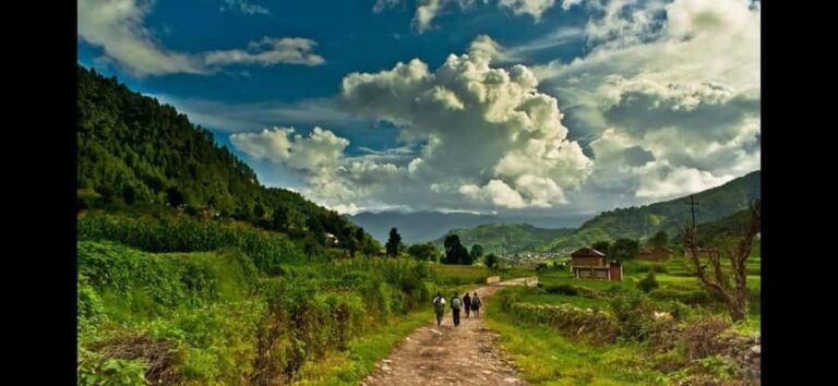 Kathmandu: Chitlang Organic Wine Tasting Tour with Lunch - The Drive: Scenic and Relaxing