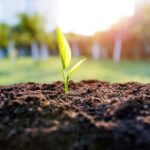 Kathmandu: Hike JamaChwok & Tree Planting for carbon neutral - Exploring the Trek: What to Expect from the Hike