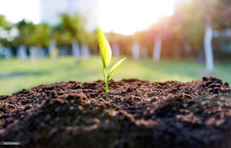 Kathmandu: Hike JamaChwok & Tree Planting for carbon neutral - Exploring the Trek: What to Expect from the Hike