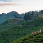 Kathmandu: Ilam Tea Garden & Sunrise 3-Day Tour - Day 3: Sunrise and Return to Kathmandu