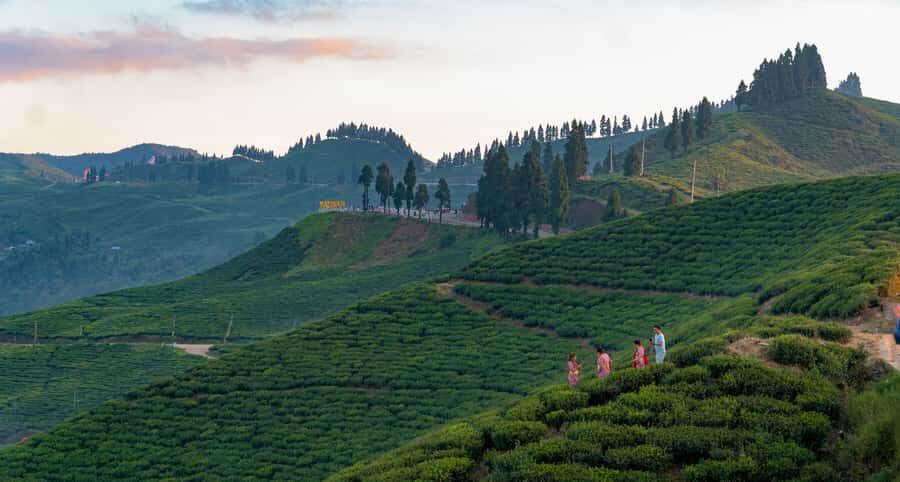 Kathmandu: Ilam Tea Garden & Sunrise 3-Day Tour - Day 3: Sunrise and Return to Kathmandu