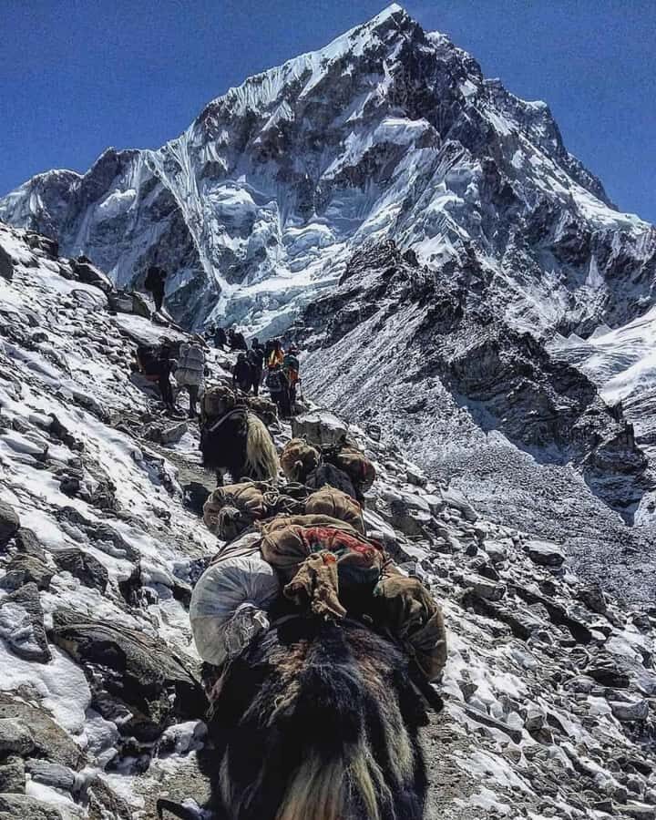 Kathmandu: Manaslu Circuit Trek 14 Day Guided Tour - The Route Breakdown: What Makes Each Stop Special