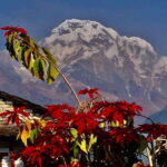 Kathmandu: Rapid Ghorepani Poon Hill Trek with Guide - An Authentic Himalayan Experience in Just Six Days