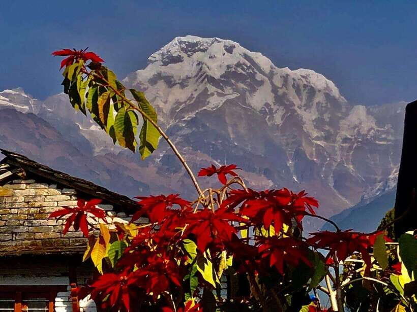 Kathmandu: Rapid Ghorepani Poon Hill Trek with Guide - An Authentic Himalayan Experience in Just Six Days