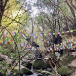 Kathmandu: Shivapuri Hill Day Hike with Lunch box - What to Expect on the Shivapuri Hill Hike