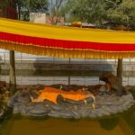 Kathmandu: Tarebhir, Nagi Gompa, & Budhanilkantha Day Hike - Forest Trails and Birdsong in Shivapuri Park