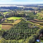 Katikati Avocado Adventure - Practical Details & What You Should Know