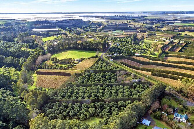 Katikati Avocado Adventure - Practical Details & What You Should Know