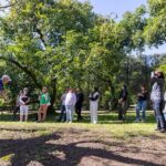 Katikati Gourmet Avocado Tasting - The Experience in Practice: What You Can Expect