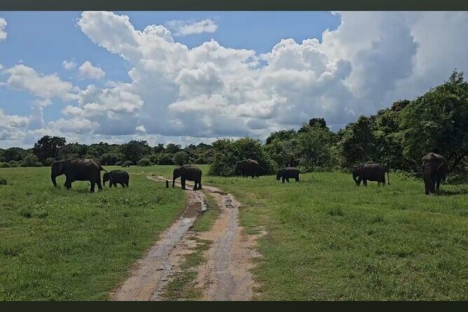 Kaudulla Safari Adventure - Whats Included and Whats Not