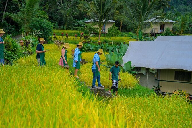 Kaura: Cooking Class & Choose Optional Tour with Private Transfer - What About the Optional Activities?