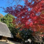 Kawasaki Nihon Minkaen Adventure Tour - Who Would Love This Tour?