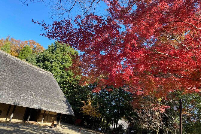 Kawasaki Nihon Minkaen Adventure Tour - Who Would Love This Tour?