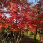 Kawasaki: Tama River Cycling & Japanese Folk House Tour - Practical Details: What to Expect