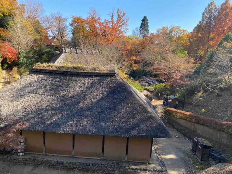 Kawasaki: Tama River Cycling & Japanese Folk House Tour - Visiting the Folk House Museum – Step Back in Rural Japan
