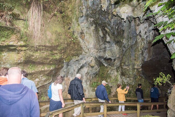 Kawiti Family Glowworm Caves Guided Tour in Bay of Islands - The Experience in Detail