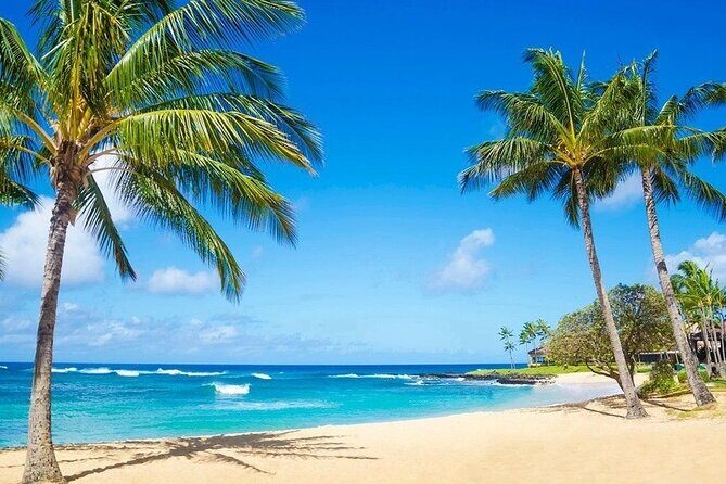 Kayak Adventure Photography on the beach - Who Is This Tour Best For?  