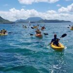 Kayak, Snorkel and Beach Adventure - Detailed Breakdown of the Itinerary