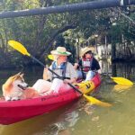 Kayaking and Electric Longtail Boat in Bangkok - A Close Look at the Itinerary